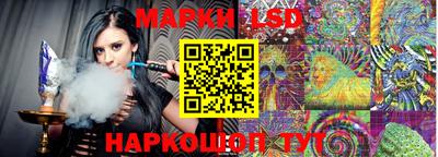 прущие грибы Абакан