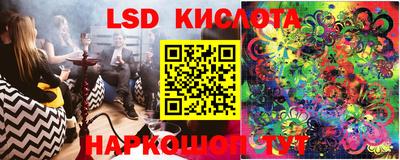 прущие грибы Абакан