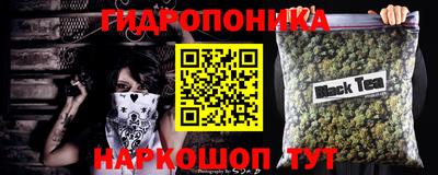 спиды Аргун