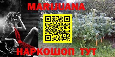 прущие грибы Абакан