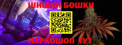 прущие грибы Абакан