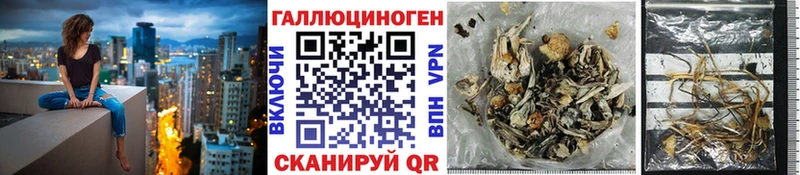 МЕГА вход  Абинск  Галлюциногенные грибы мицелий 