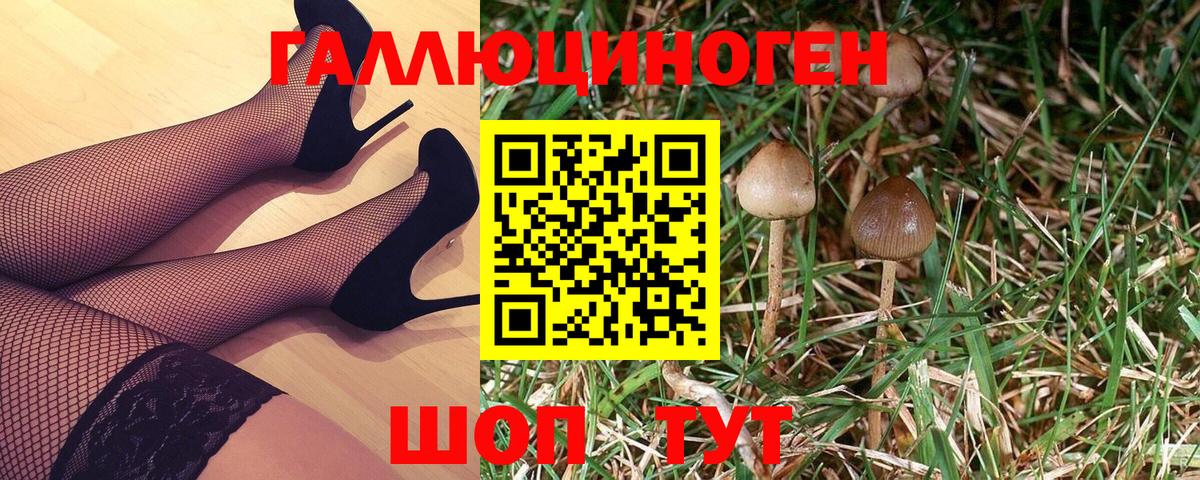 Псилоцибиновые грибы Psilocybe  Псилоцибиновые грибы Psilocybe  Абинск 