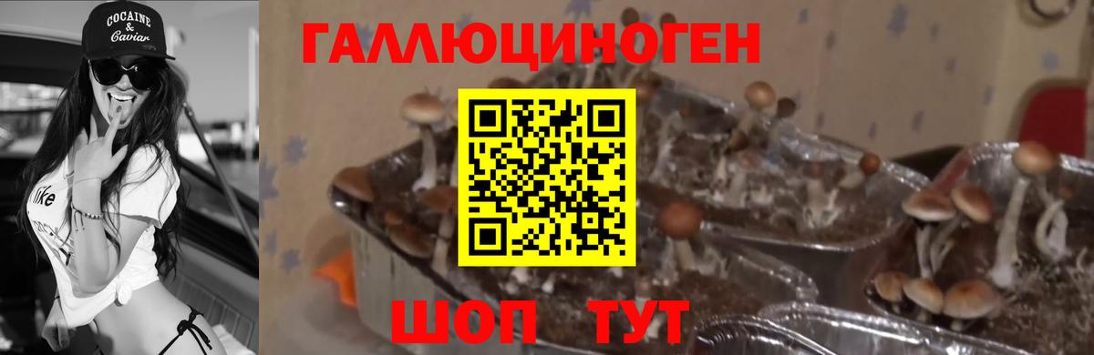 ГАШ Абинск
